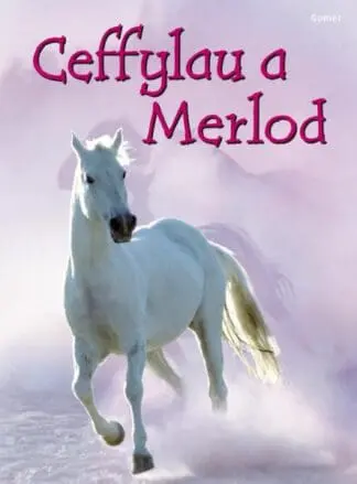 Cyfres Dechrau Da: Ceffylau a Merlod
