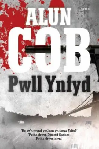 Pwll Ynfyd