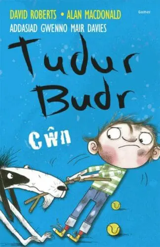 Tudur Budr Cwn