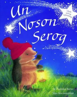 Cyfres Draenog Bach: Un Noson Serog
