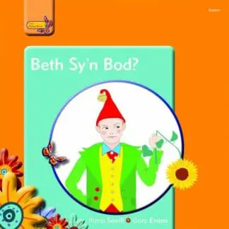 Pobl Pentre Bach: Beth Sy’n Bod?