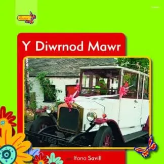 Pobl Pentre Bach: Y Diwrnod Mawr