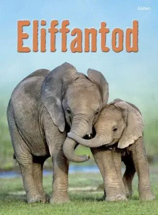 Cyfres Dechrau Da: Eliffantod