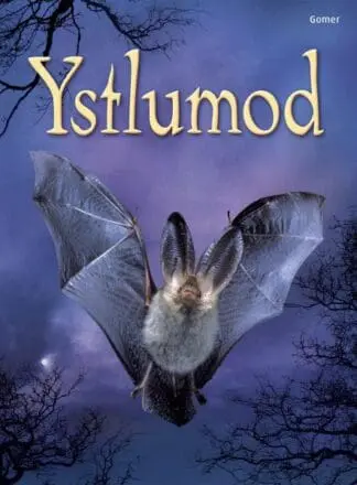 Cyfres Dechrau Da: Ystlumod