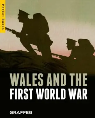 Wales and the First World War (Pocket Books)