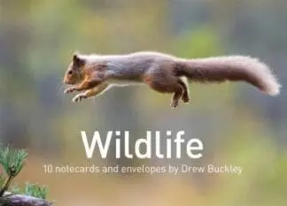 Wildlife by Drew Buckley – 10 Notecards and Envelopes