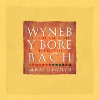 Wyneb y Bore Bach – Cerddi am Blant a Phlentyndod