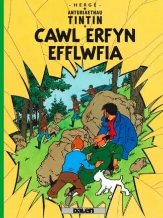 Cyfres Anturiaethau Tintin: Cawl Erfyn Efflwfia