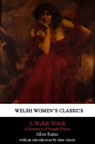 Welsh Witch, A – A Romance of Rough Places