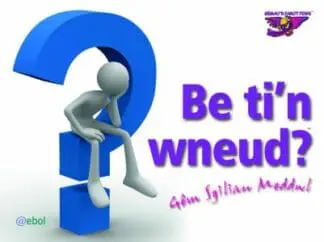 Gemau’r Parot Piws: Be Ti’n Wneud? Gêm Sgiliau Meddwl