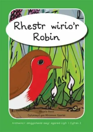 Archwilio’r Amgylchedd Awyr Agored yn y Cyfnod Sylfaen – Cyfres 2: Rhestr Wirio’r Robin