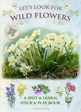 Let’s Look for Wild Flowers – A Spot & Learn, Stick & Play Book