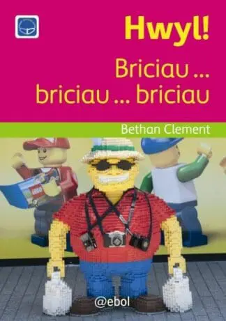Cyfres Darllen Difyr: Hwyl! – Briciau … briciau … briciau