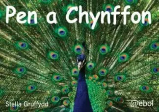 Pen a Chynffon – Pecyn Llythrennedd Cardiau’n Unig
