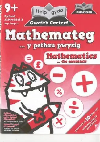 Help gyda Gwaith Cartref – Mathemateg, Y Pethau Pwysig