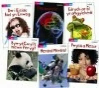 Cyfres Bling – Y Pecyn