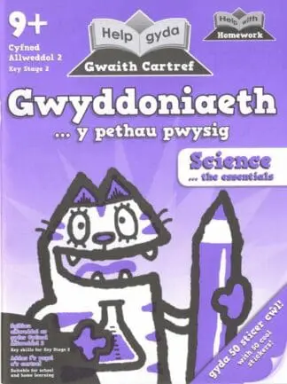 Help gyda Gwaith Cartref – Gwyddoniaeth y Pethau Pwysig / Help with Homework – Science the Essentials