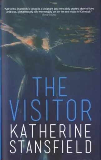 Visitor, The