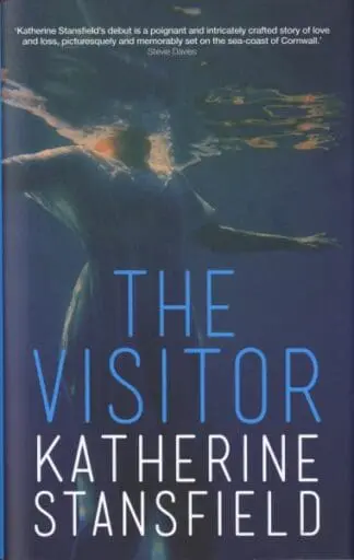Visitor, The