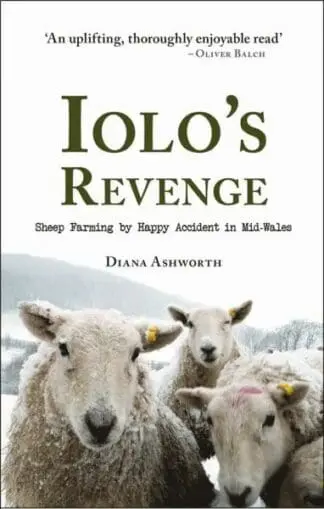 Iolo’s Revenge – Sheep Farming by Happy Accident in Mid-Wales