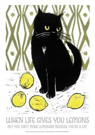 WHEN LIFE GIVES YOU LEMONS