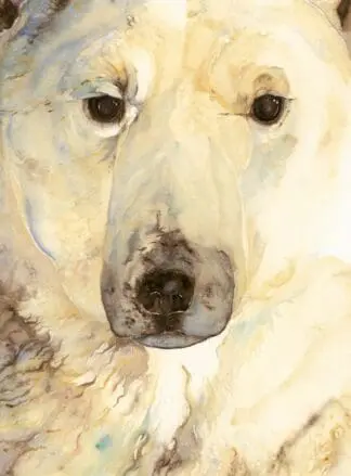 Ice Bear, The – Artist Edition