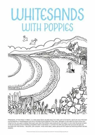 Helen Elliott Poster: Whitesands with Poppies