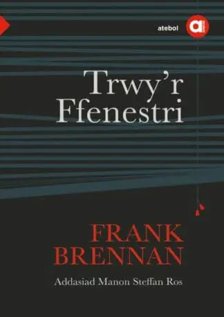 Cyfres Amdani: Trwy’r Ffenestri