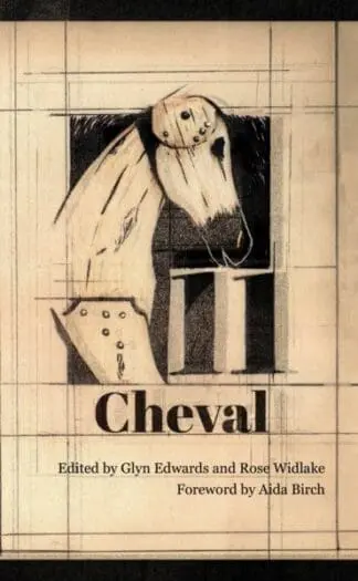 Cheval 11 – The Terry Hetherington Award Anthology 2018