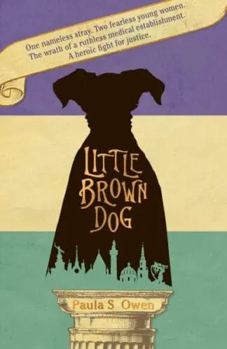 Little Brown Dog