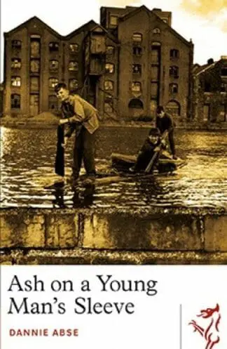 Library of Wales: Ash on a Young Man’s Sleeve