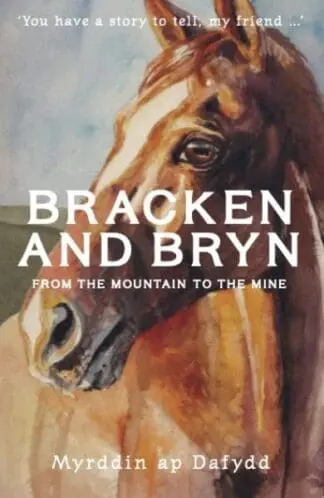 Bracken and Bryn – from the mountain to the mine