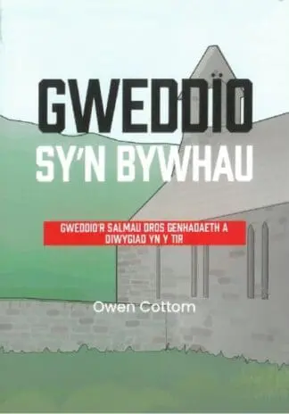 Gweddïo sy’n bywhau – Gweddïo’r salmau dros genhadaeth a diwygiad yn y tir