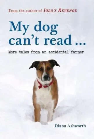 My dog can’t read… more tales from an accidental farmer