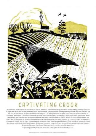 Tom Cox’s 21st Century Yokel Poster: Captivating Crook