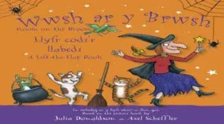 Wwsh ar y Brwsh – Llyfr codi’r llabedi / Room on the Broom – A lift-the-flap book