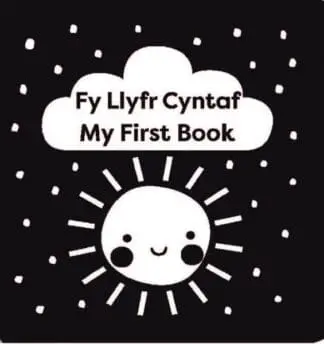 Fy Llyfr Cyntaf / My First Book