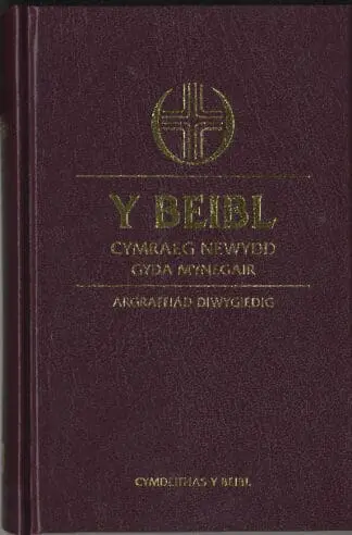 Beibl Cymraeg Newydd, Y – Gyda Mynegair