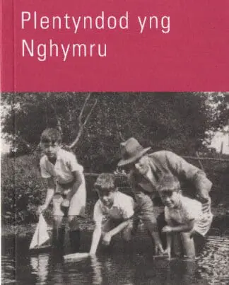 Plentyndod yng Nghymru
