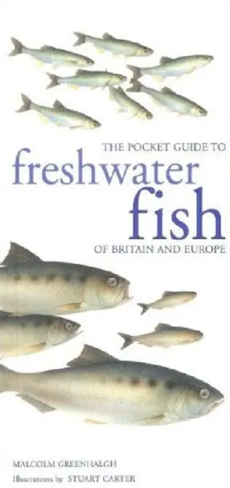 Pocket Guide to Freshwater Fish of Britain and Europe, The