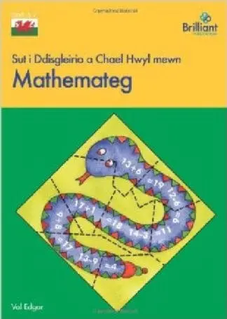 Sut i Ddisgleirio a Chael Hwyl Mewn Mathemateg