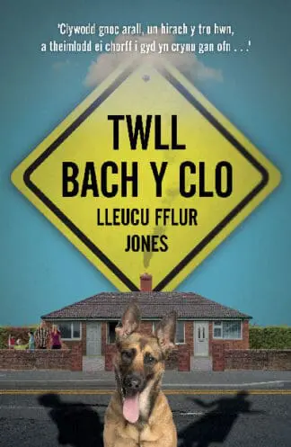 Twll Bach y Clo
