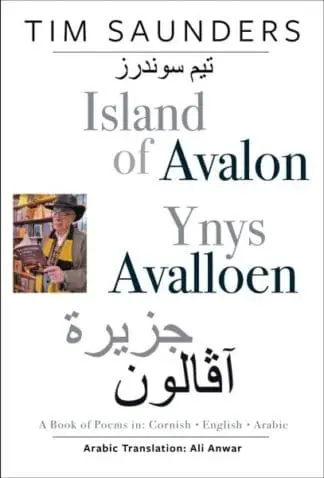 Island of Avalon / Ynys Avalloen