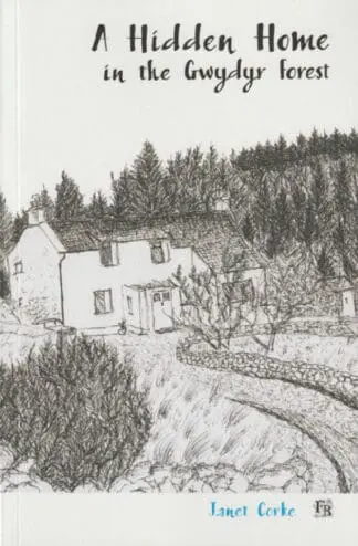 A Hidden Home in the Gwydyr Forest