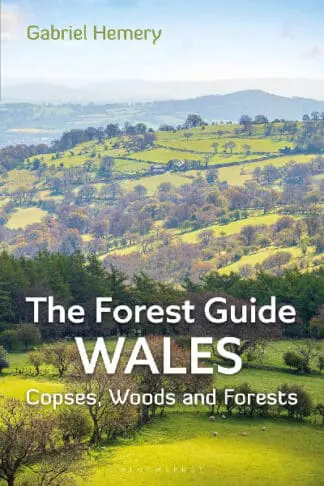 The Forest Guide – Wales