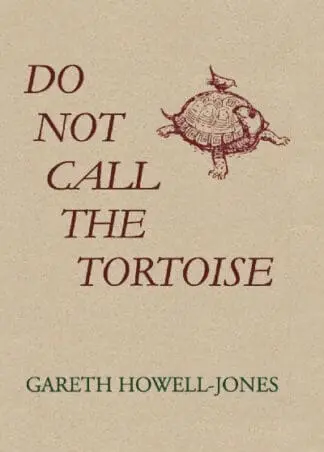 Do Not Call the Tortoise