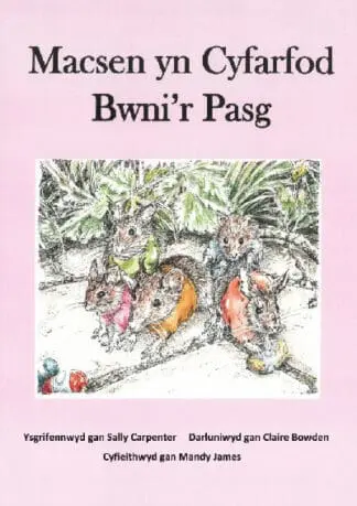 Macsen yn Cyfarfod Bwni’r Pasg
