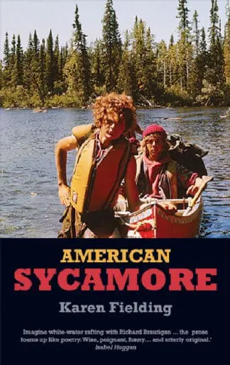 American Sycamore