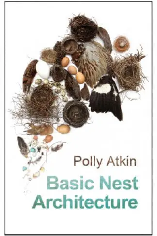 Basic Nest Architecture