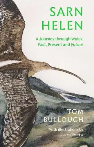 Sarn Helen: A Journey Through Wales, Past, Present and Future